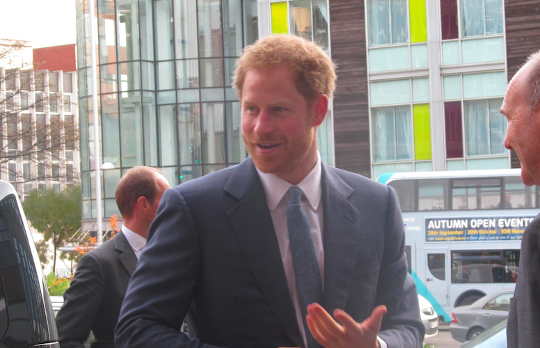 No return to royal duties for the Duke of Sussex - Vimarsana News