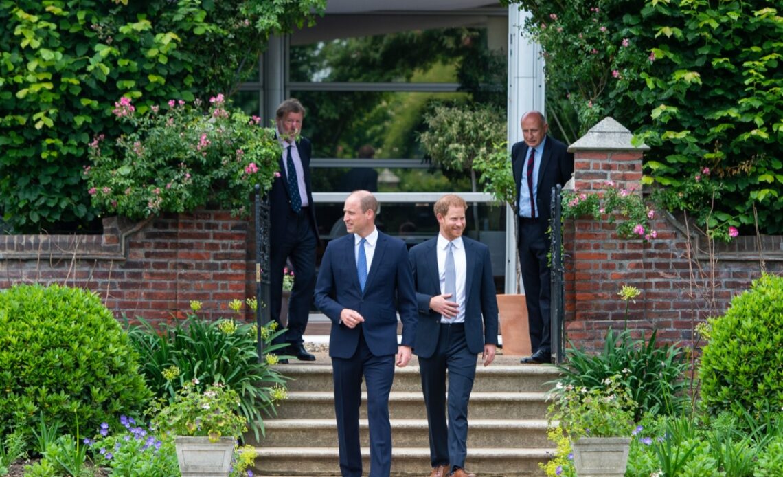 William and Harry at statue unveiling