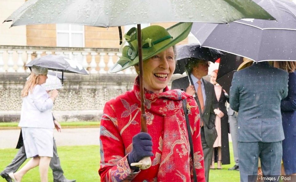 All smiles from Princess Anne as she veterans to garden party