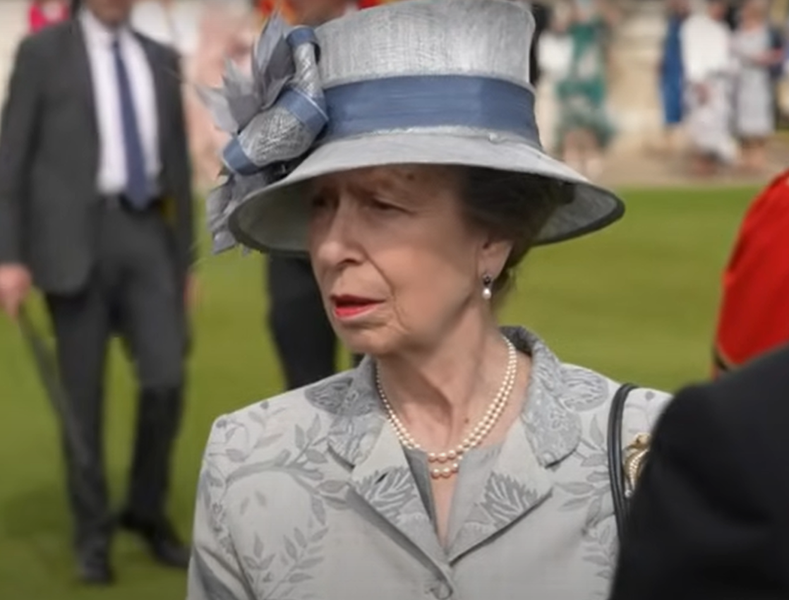 Princess Anne and Duke of Kent host special garden party as RNLI marks important event