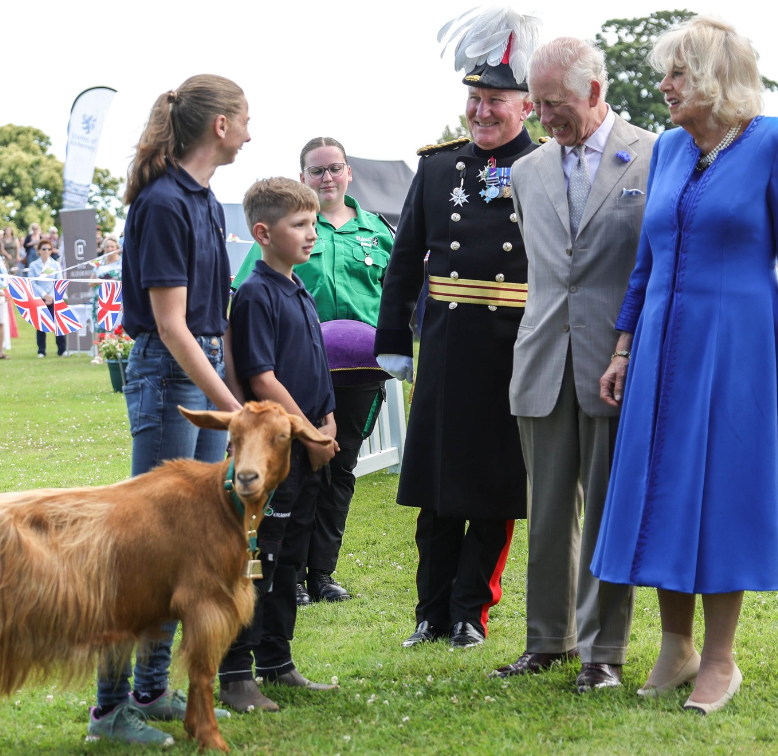 Move over, pups, The King and Queen have just appointed royal goats!