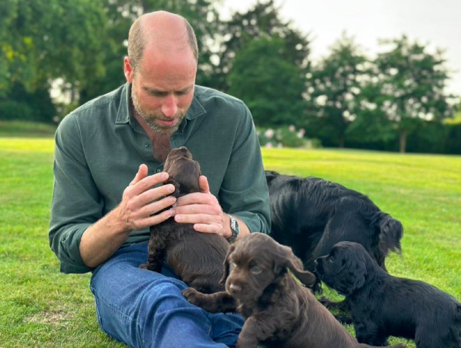 Prince William
