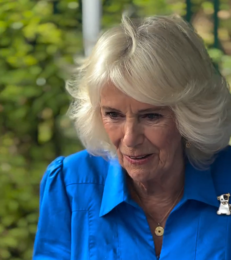 Queen Camilla visits Battersea Dogs and Cats home