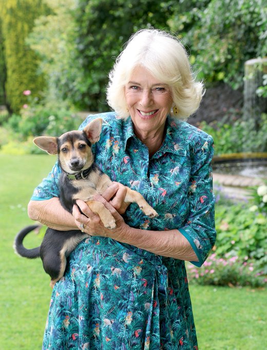 Queen Camilla with the newest member of the Royal Family - her pet, Moley