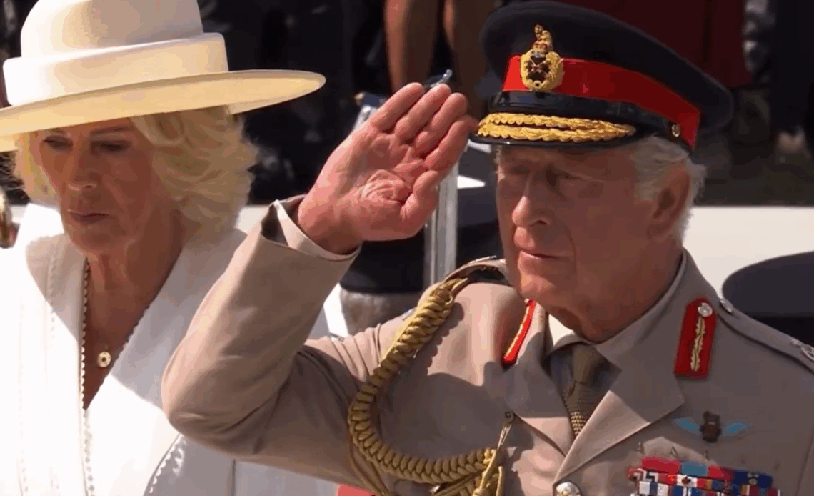 King Charles salutes as he marks the 80th anniversary of V Day