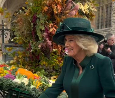 Queen Camilla stands in front of a table of bright harvest produce including an orange pumpkin
