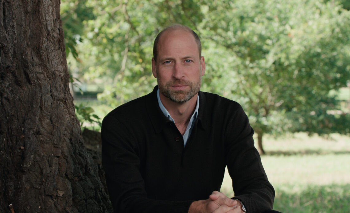 Prince William, wearing a blue pullover and blue shirt, looks into the camera for a close up portrait