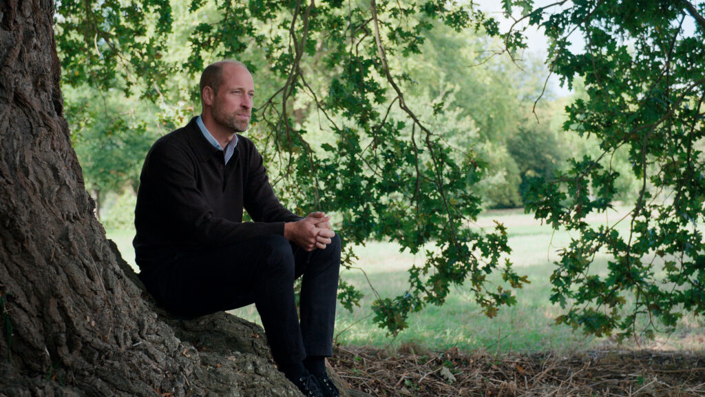 Prince William sits on a tree root
