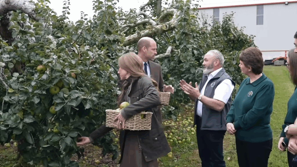 William and Catherine pick apples at Long Meadow Cider