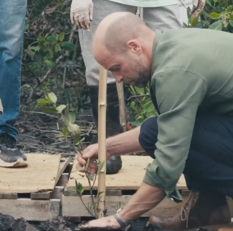 Prince William in a green shirt kneels to plant a mangrove seedling