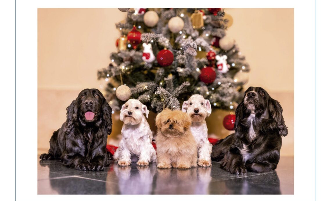 A Christmas card featuring puppies sent by King Juan Carlos and Queen Sofia of Spain