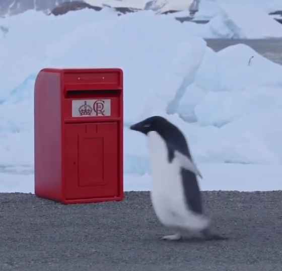 A penguin walks past a postbox sent to Antarctica by King Charles