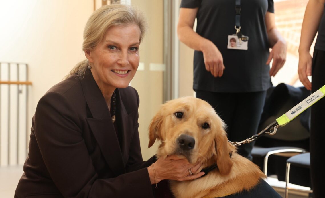 Sophie visits Northern Ireland